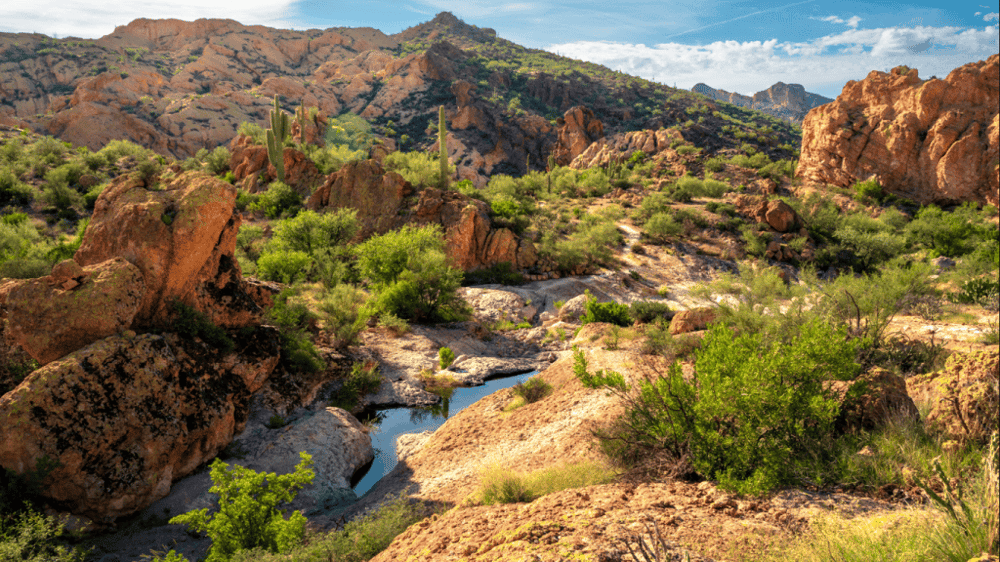 Bulldog Canyon Off-Road Adventure Tour