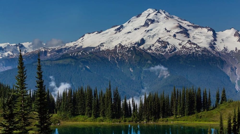 Tours Northwest – Mt Rainier Tour
