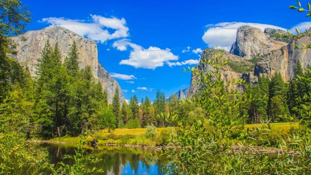 Yosemite National Park Tour