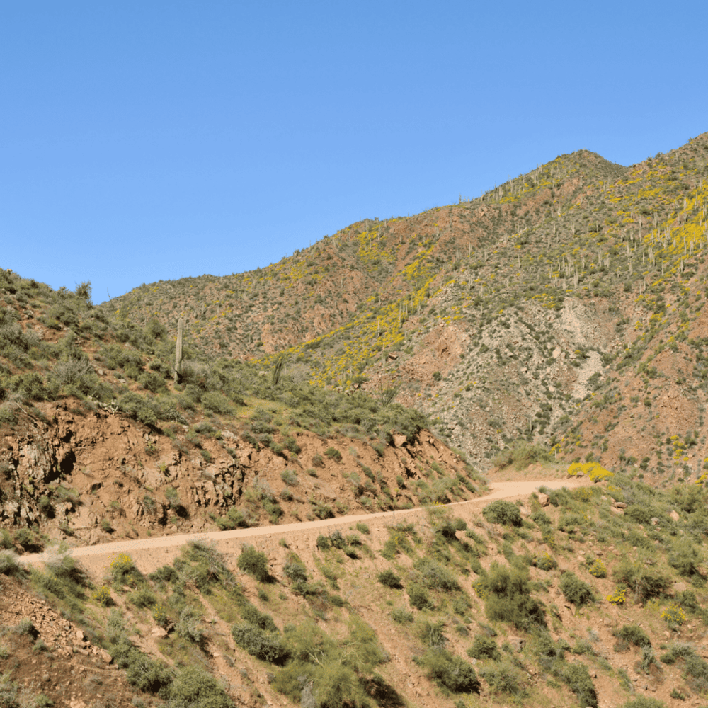 Apache Trail