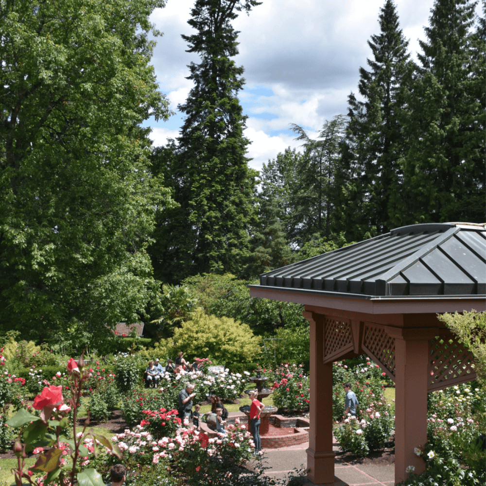 International Rose Test Garden