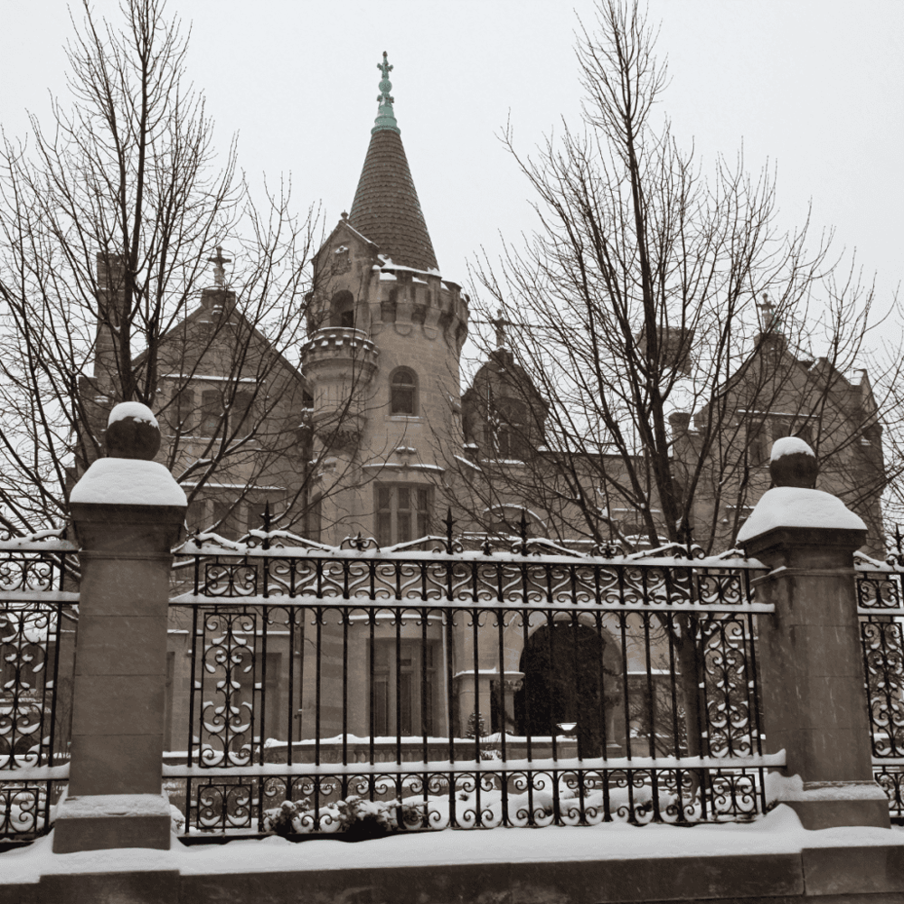 American Swedish Institute