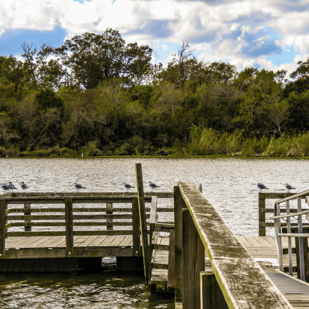Armand Bayou Nature Center