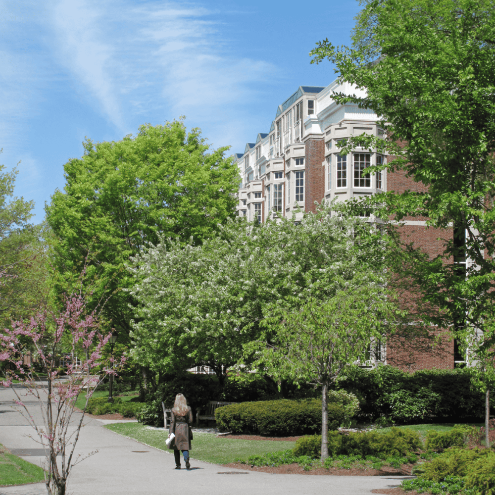Arnold Arboretum of Harvard University