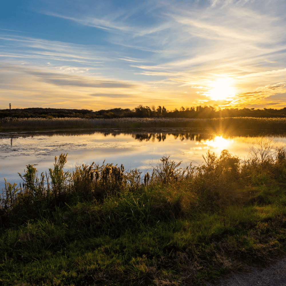 Back Bay National Wildlife Refuge
