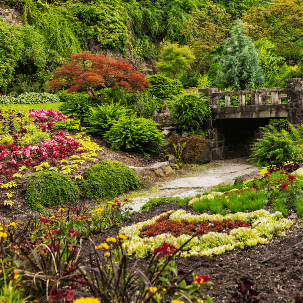 Bayou Bend Collection and Gardens