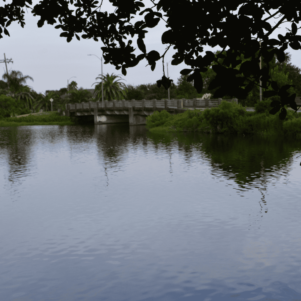 Bayou St. John