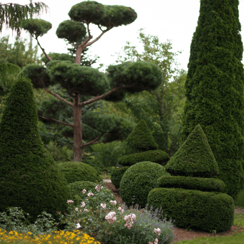 Be amazed by Harper's Topiary Garden