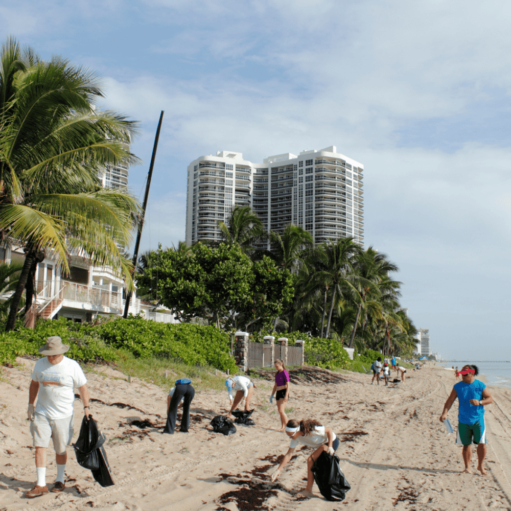 Beach cleanup
