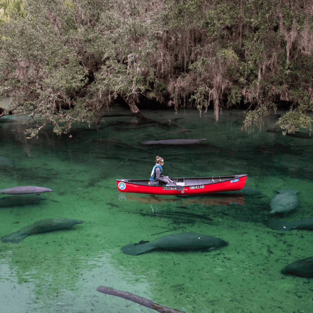 Blue Spring State Park
