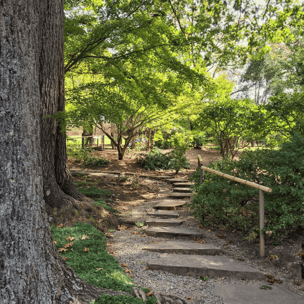 Cheekwood Estate & Gardens