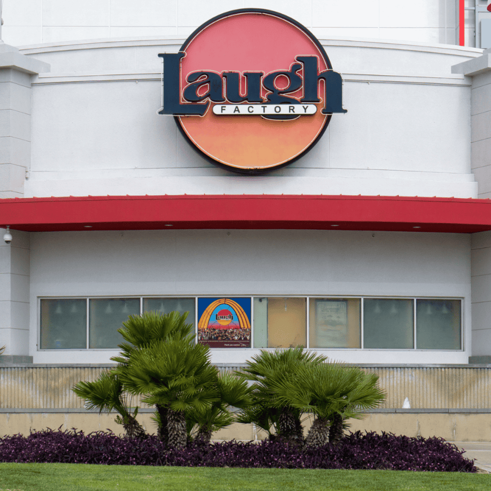 Chicago’s Comedy Scene