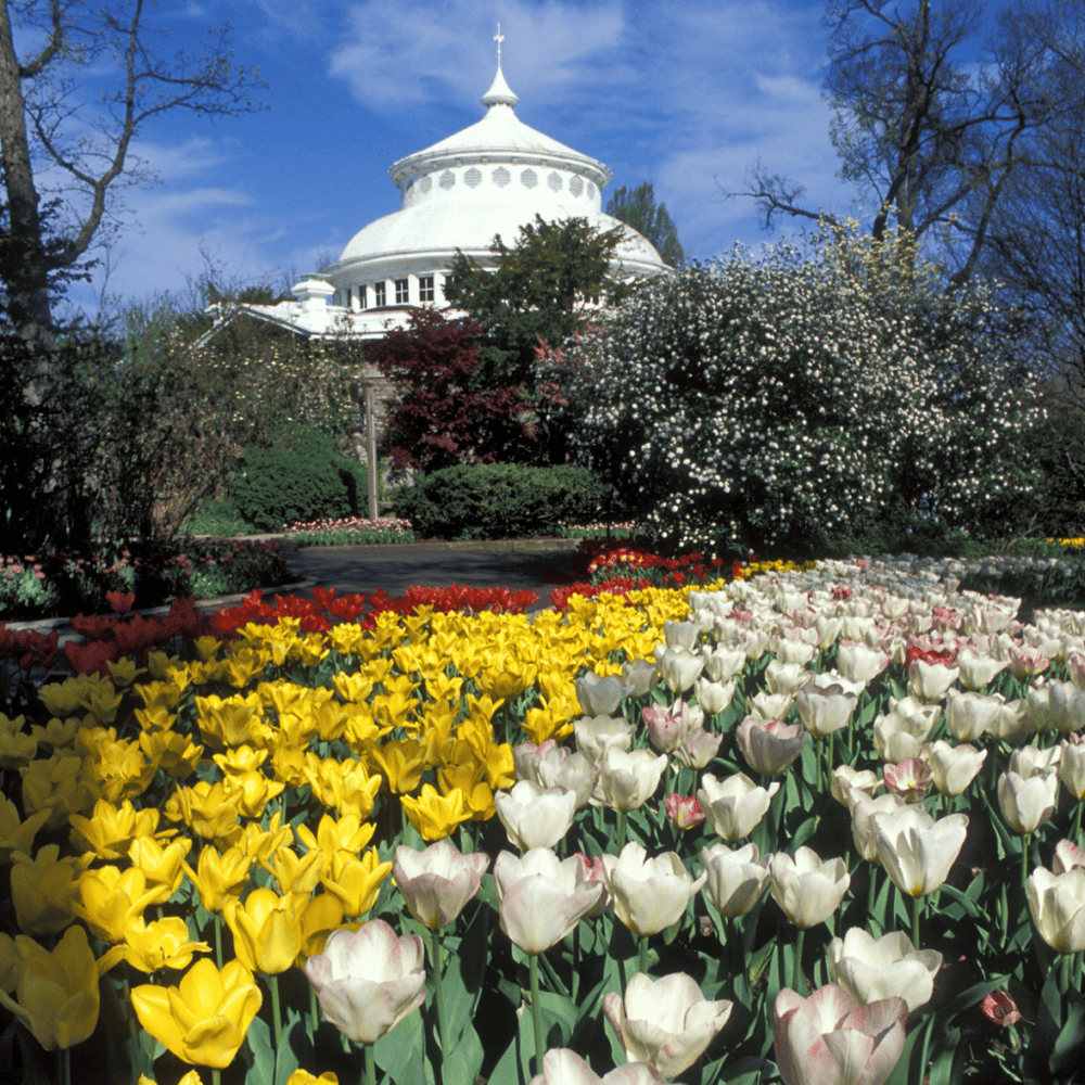 Cincinnati Zoo & Botanical Garden