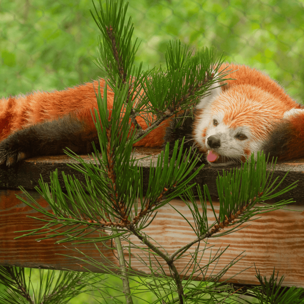 Cleveland Metroparks Zoo