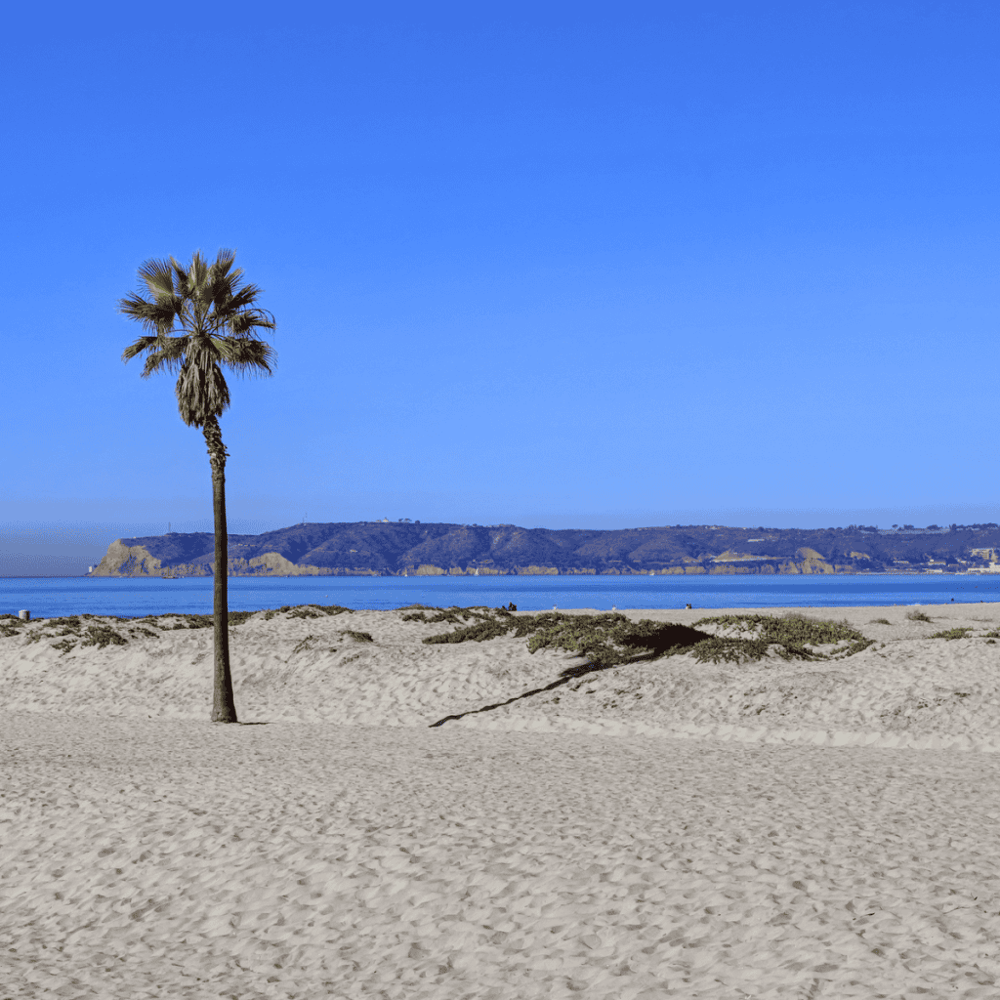 Coronado Beach
