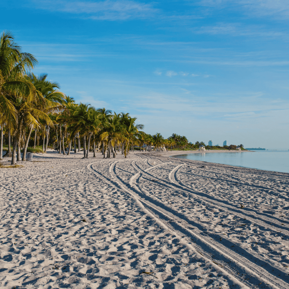 Crandon Park