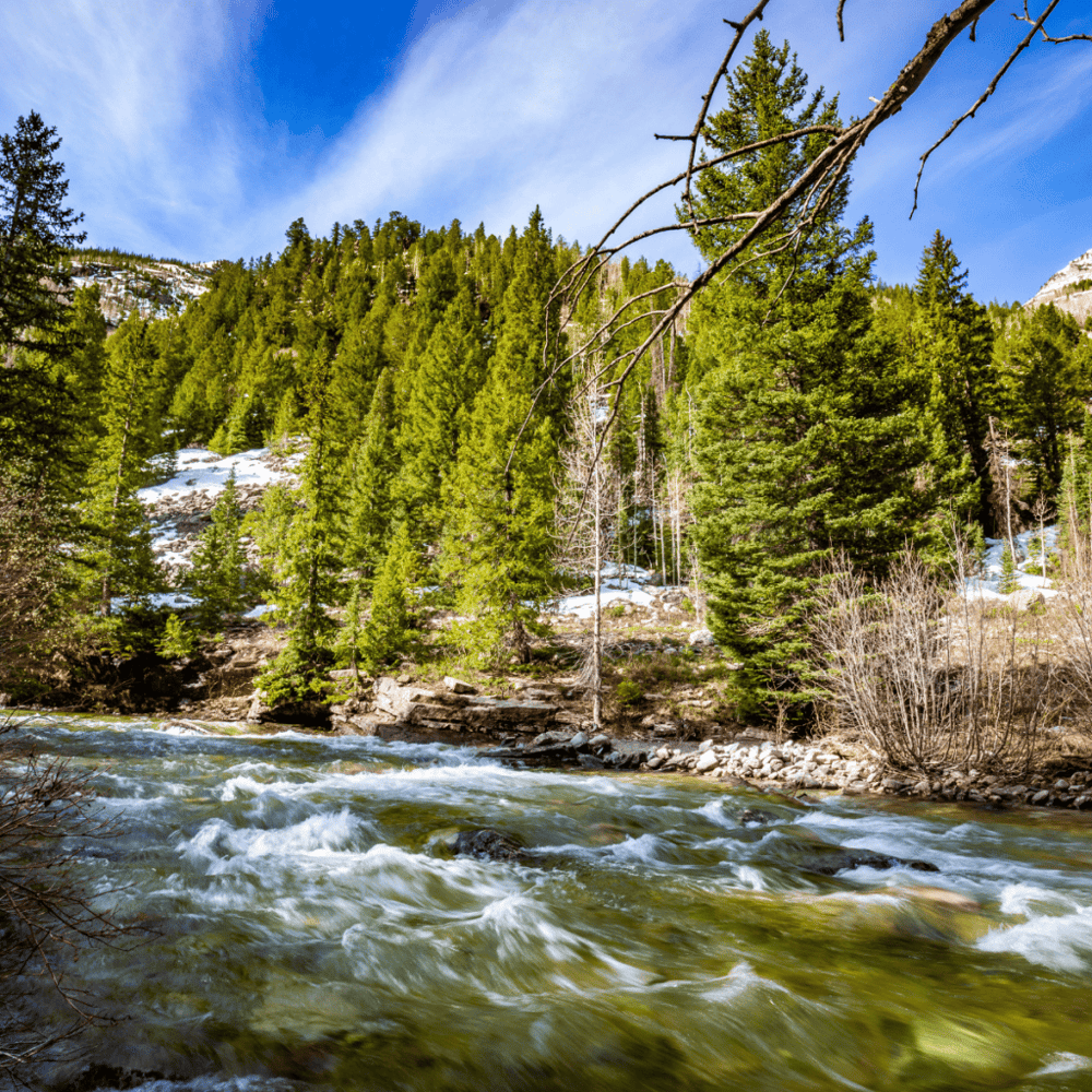 Crystal Canyon Natural Area