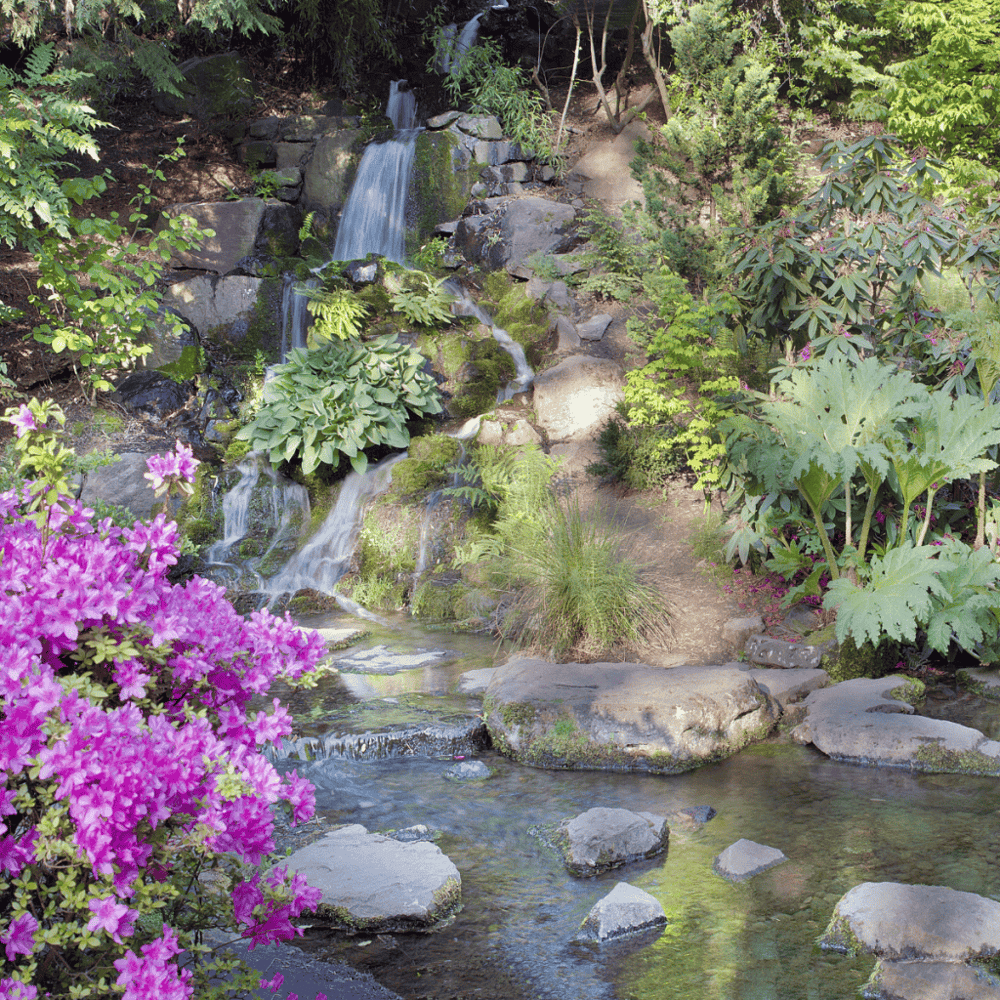 Crystal Springs Rhododendron Garden