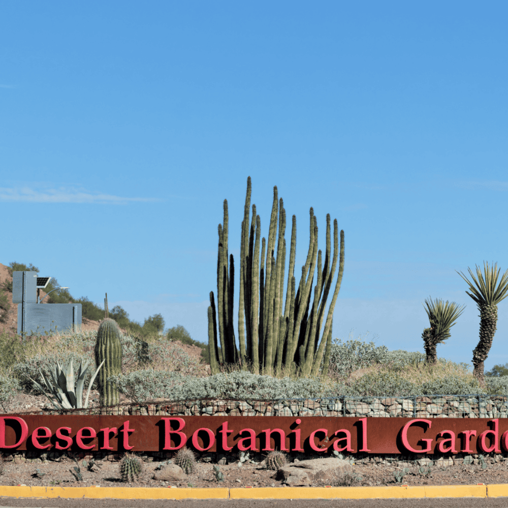 Desert Botanical Garden
