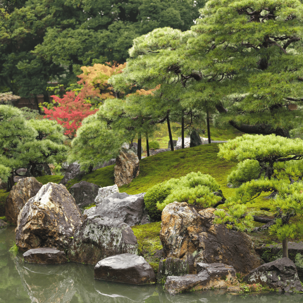 Earl Burns Miller Japanese Garden