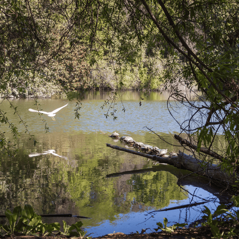 El Dorado Nature Center