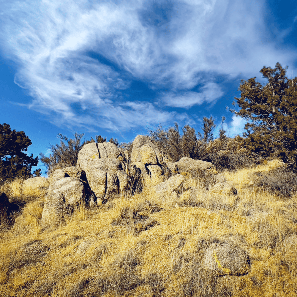 Elena Gallegos Open Space