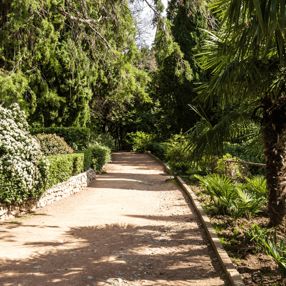 Elmer W. Oliver Nature Park