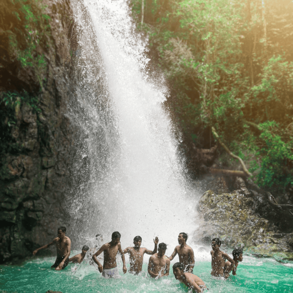 Explore McConnell Springs