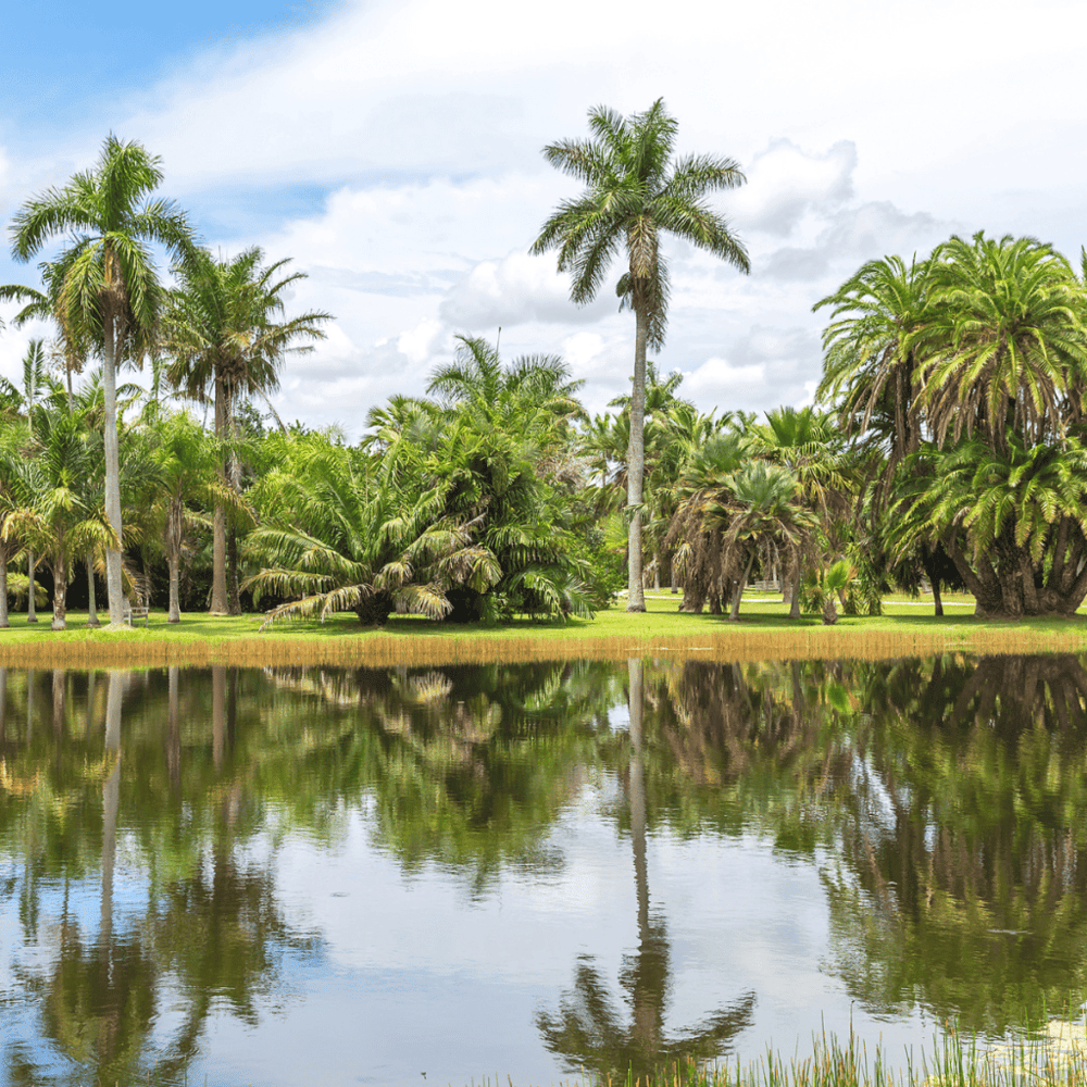 Fairchild Tropical Botanic Garden