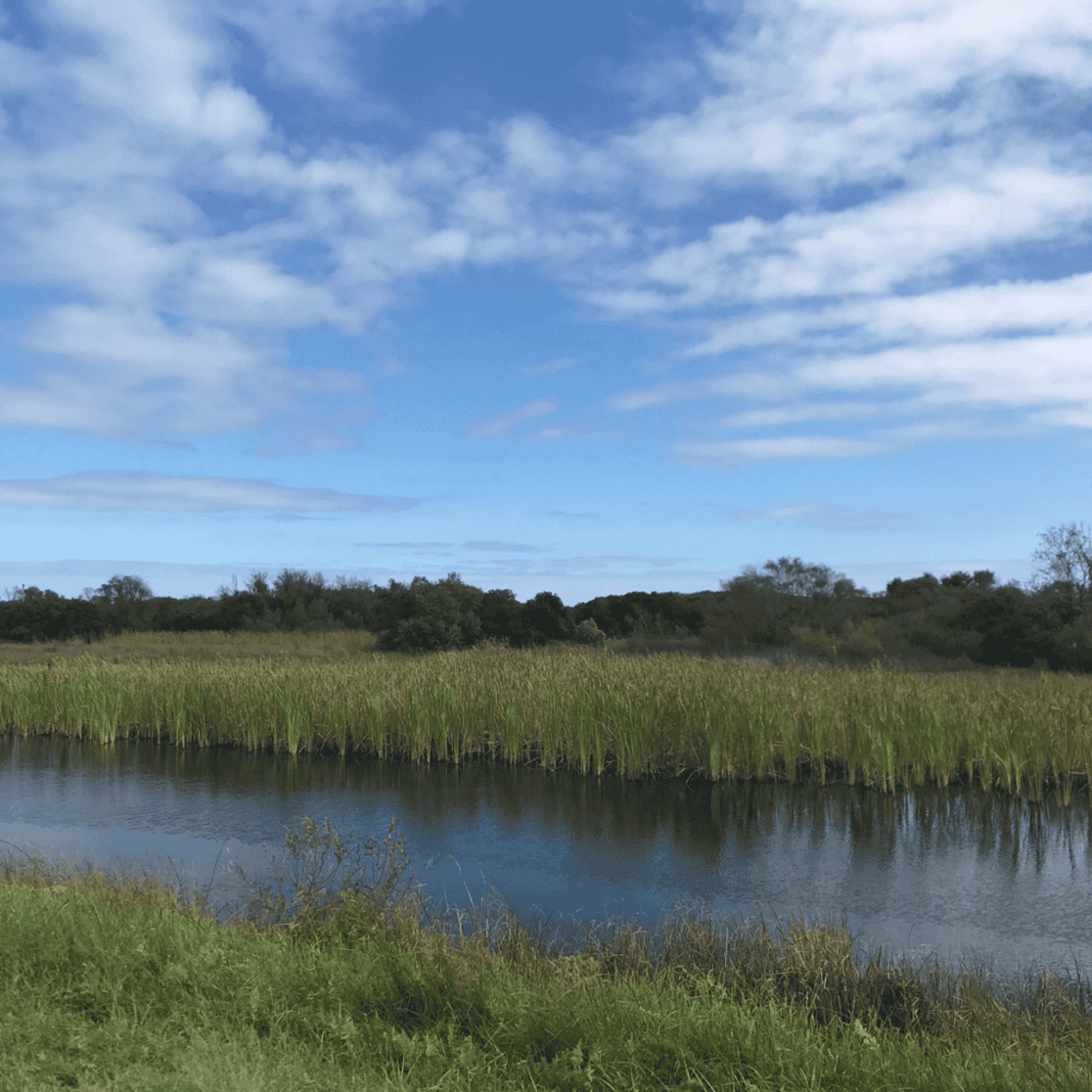 False Cape State Park