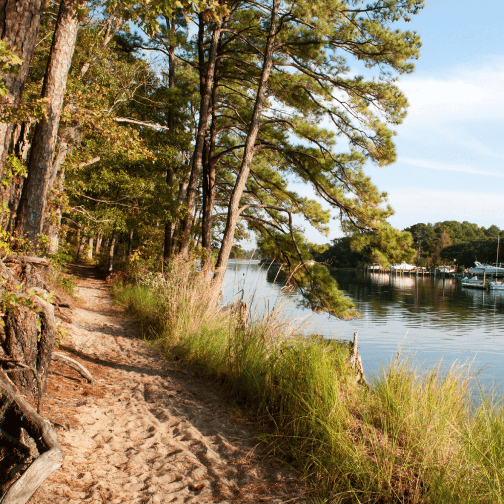 First Landing State Park