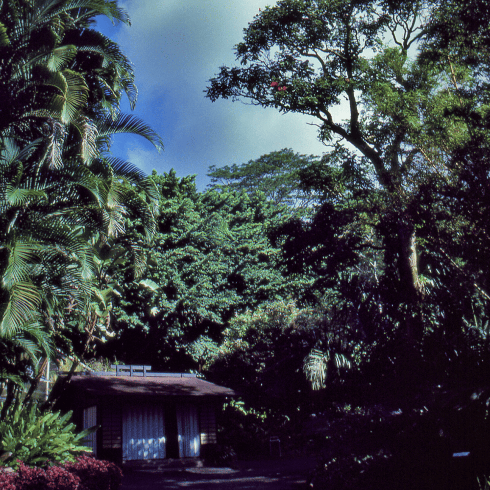 Foster Botanical Garden