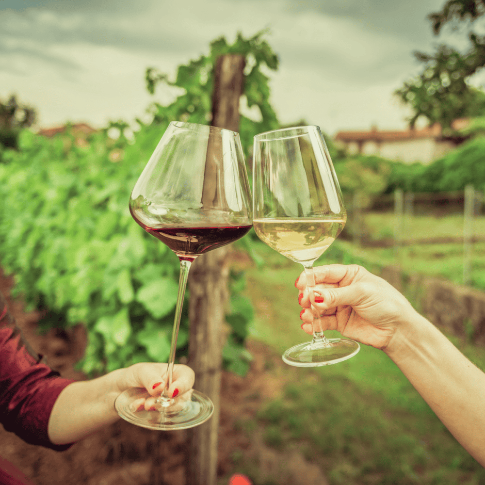 Fresno County Wine Journey