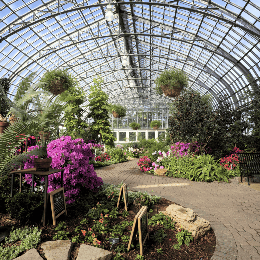 Garfield Park Conservatory