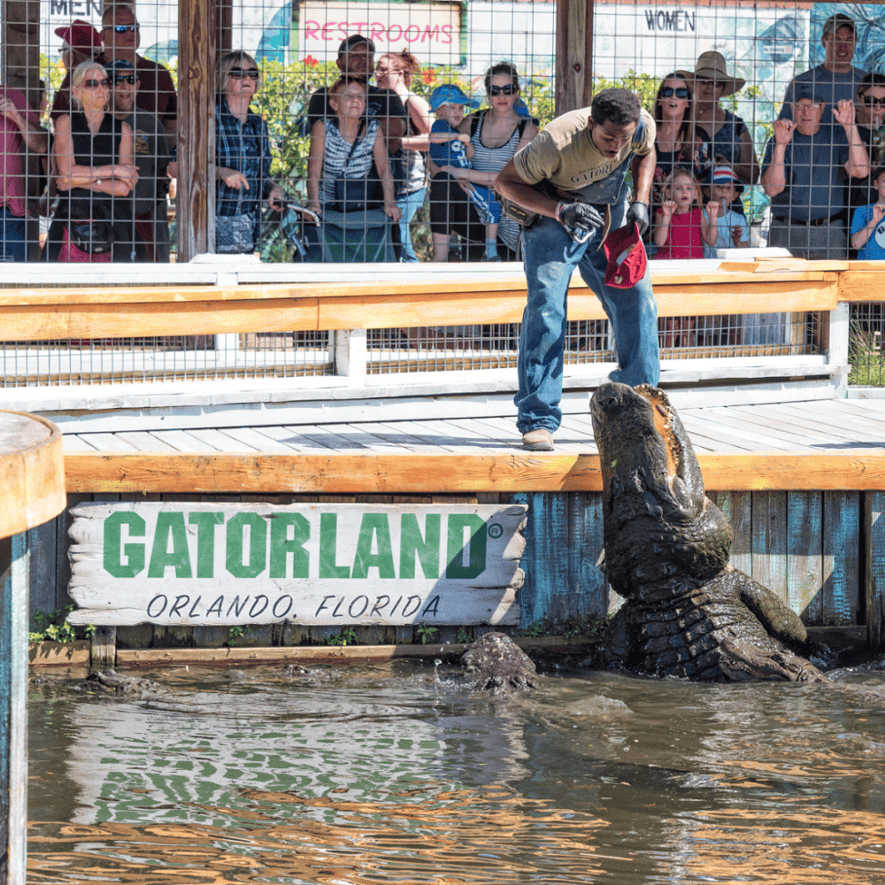 Gatorland