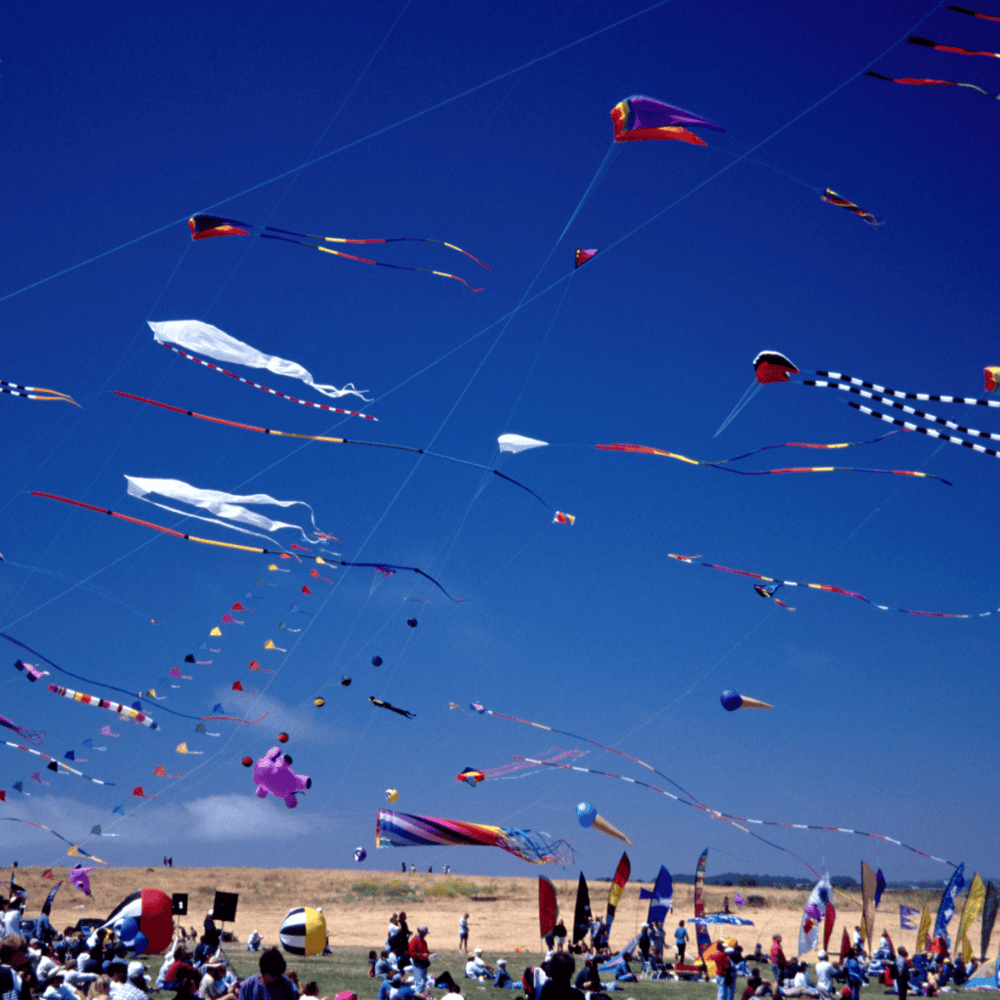 Gift of Wings Kite Festival