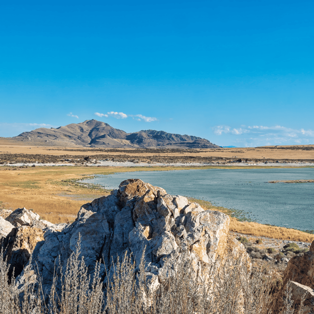 Great Salt Plains State Park