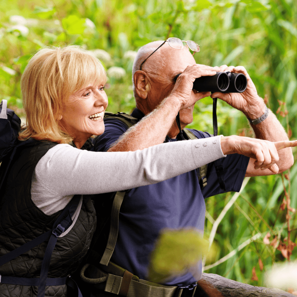 Great Texas Coastal Birding Trail