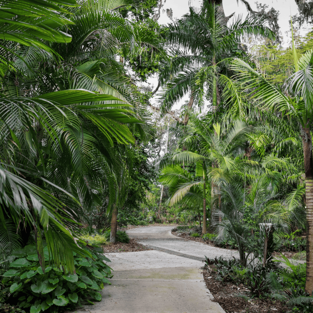 Harry P. Leu Gardens