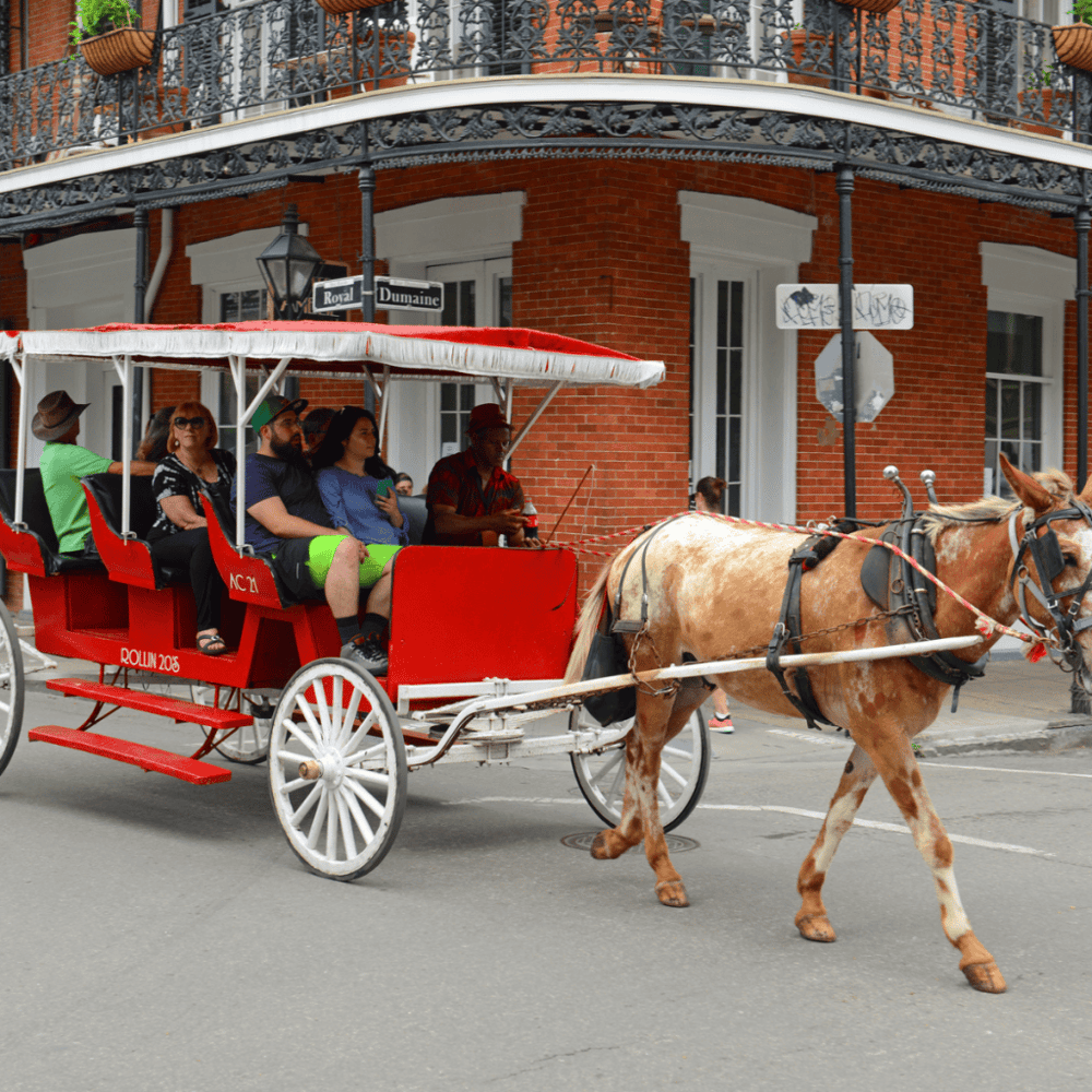 Horse and Carriage Ride