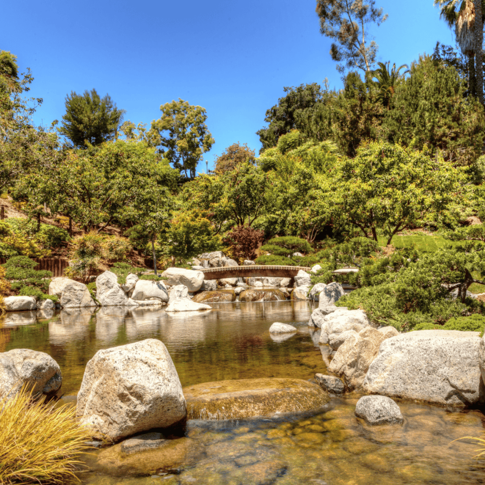 Japanese Friendship Garden