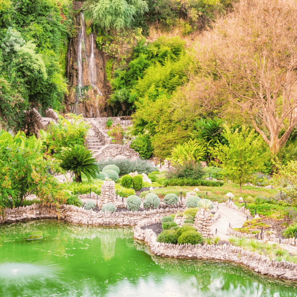 Japanese Tea Gardens