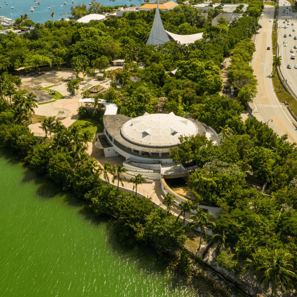 Jungle Island Adventure