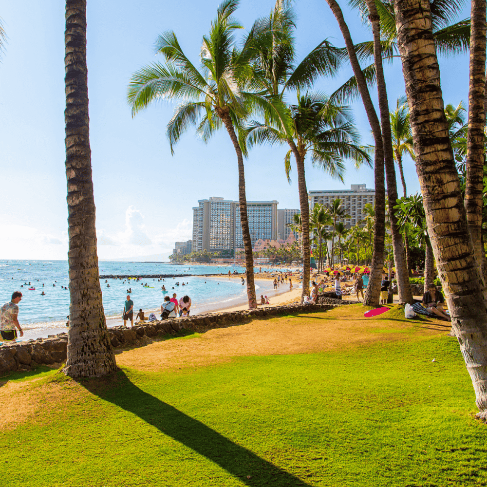 Kaka'ako Waterfront Park