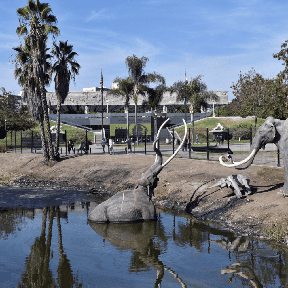 La Brea Tar Pits and Museum