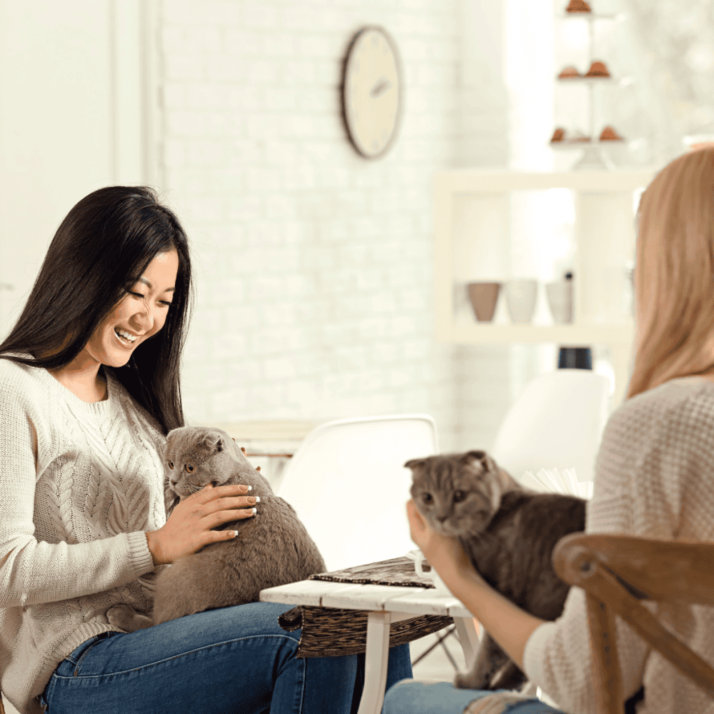 La Gattara Cat Café