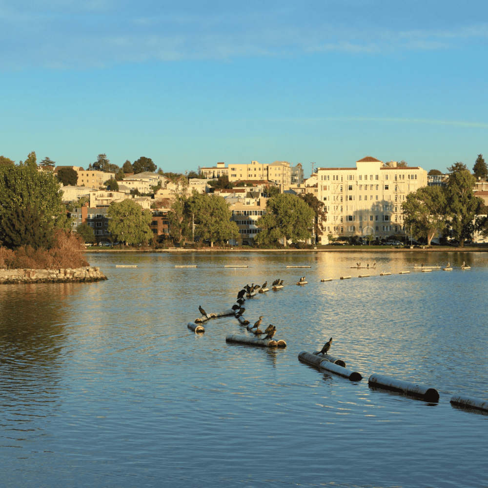 Lake Merritt