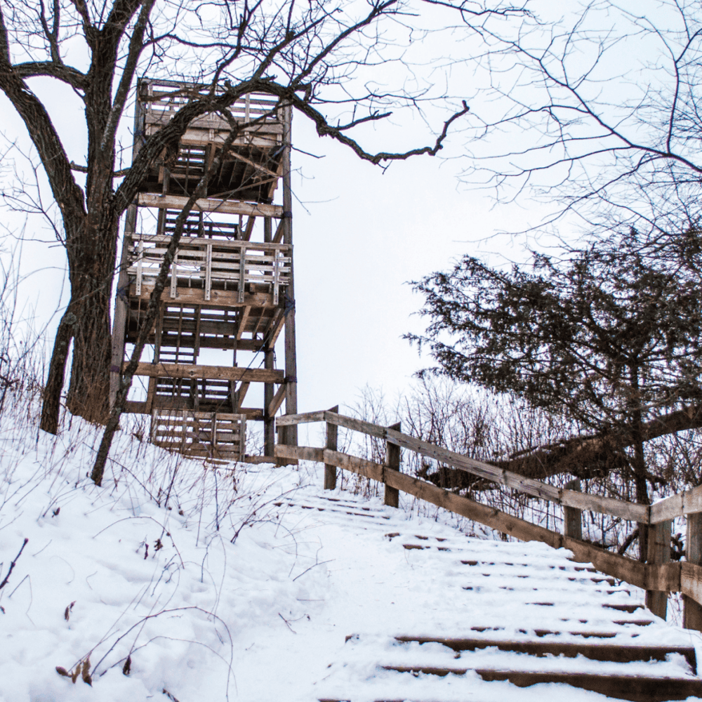 Lapham Peak Observation Tower