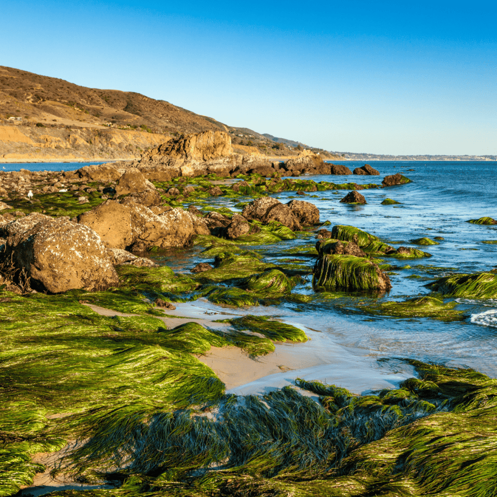 Leo Carrillo State Beach