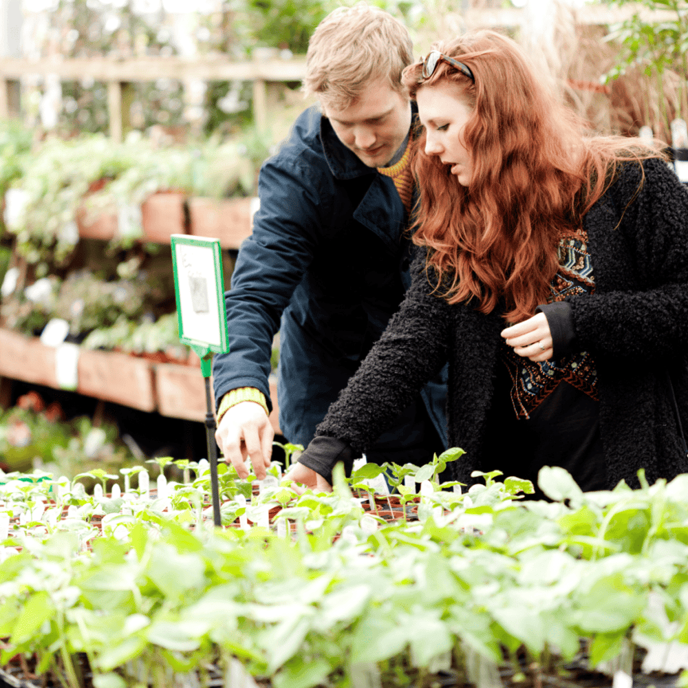 Linnaeus Teaching Gardens